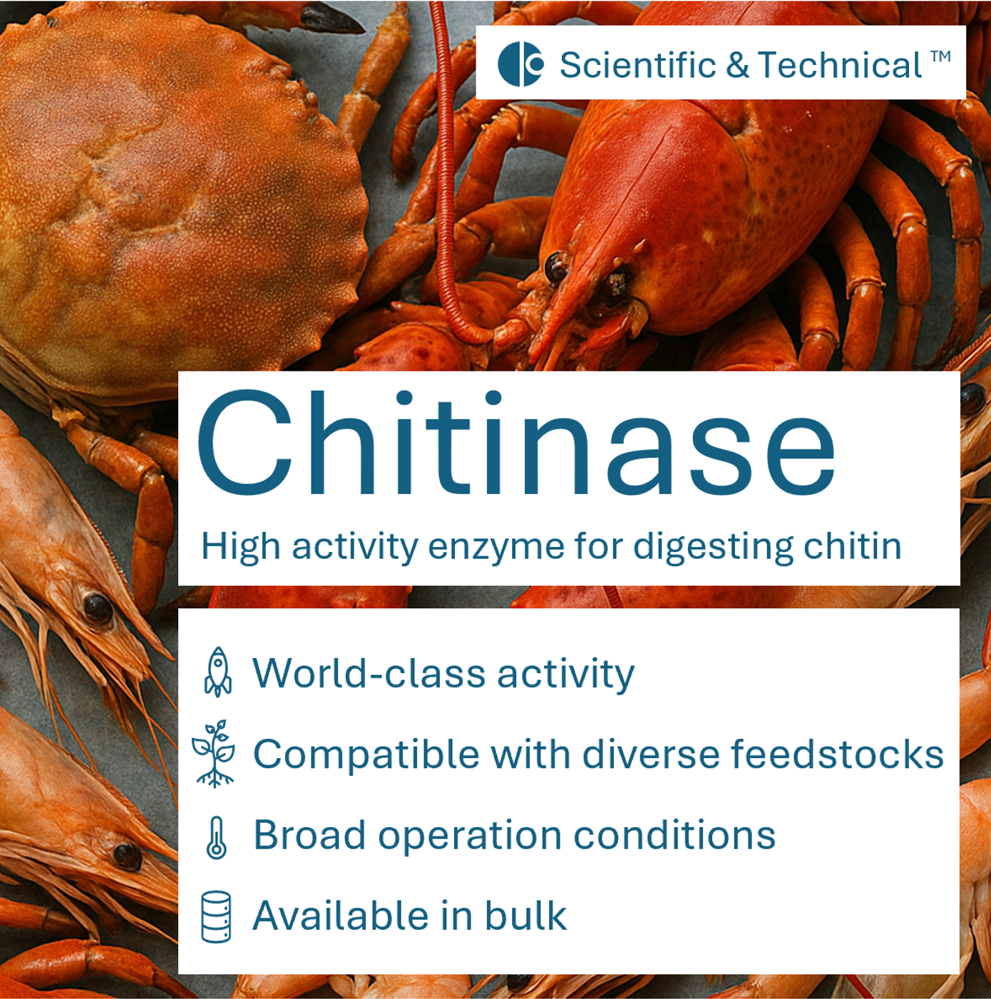 Chitinase