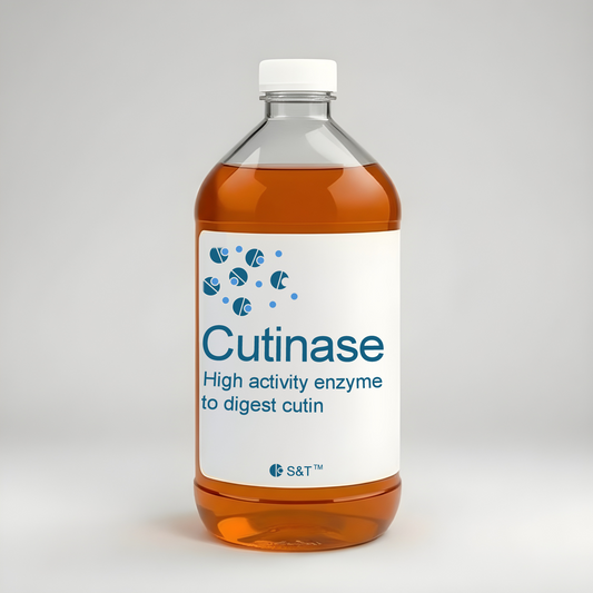 Cutinase