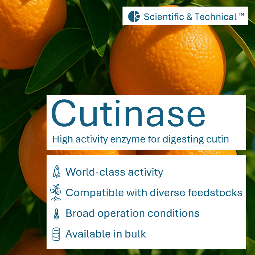 Cutinase