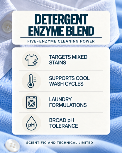 Detergent Enzymes (blend)