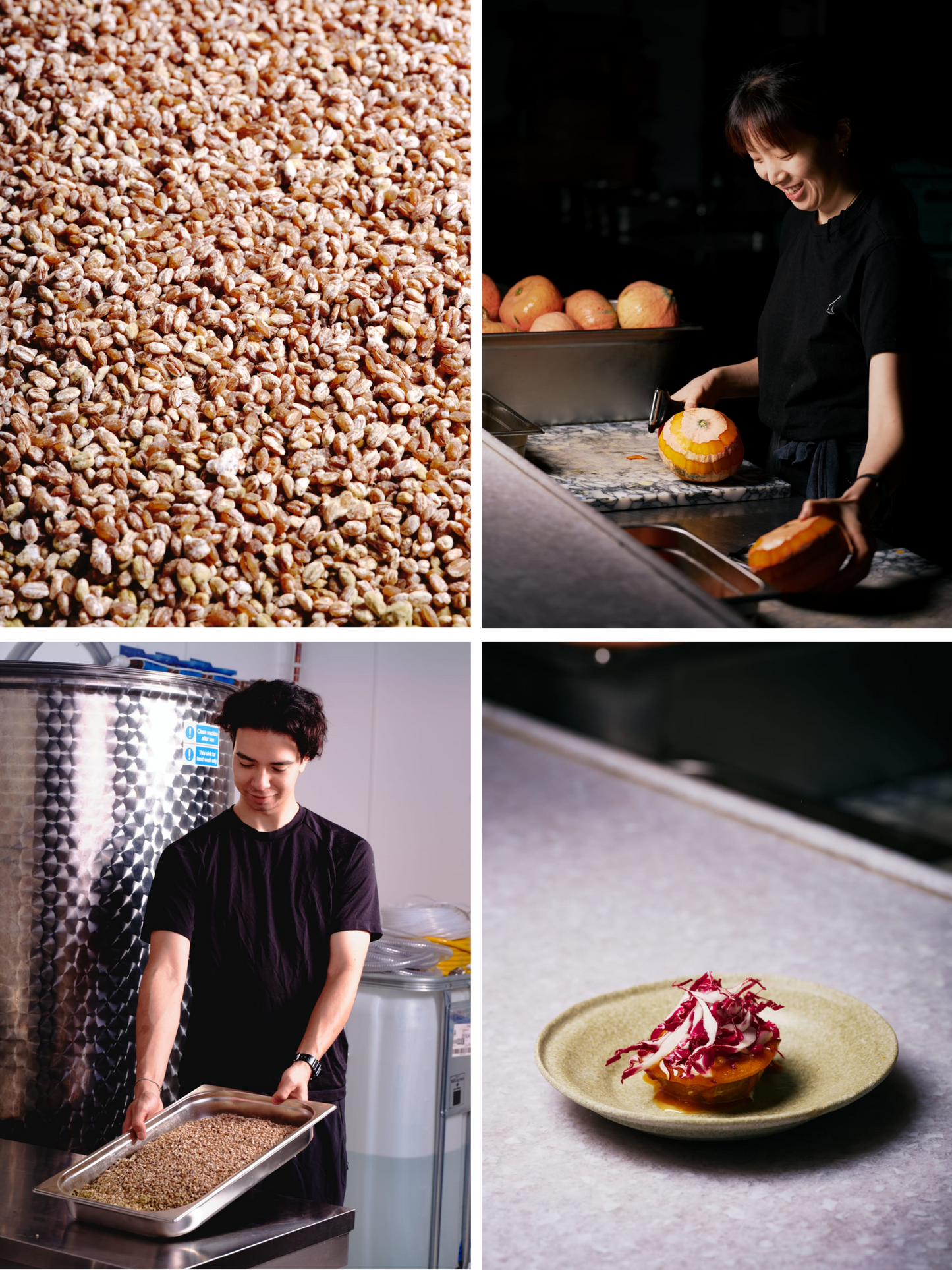 Koji Rice