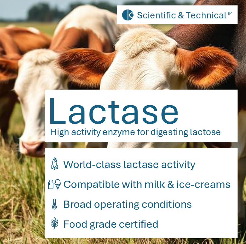 Lactase