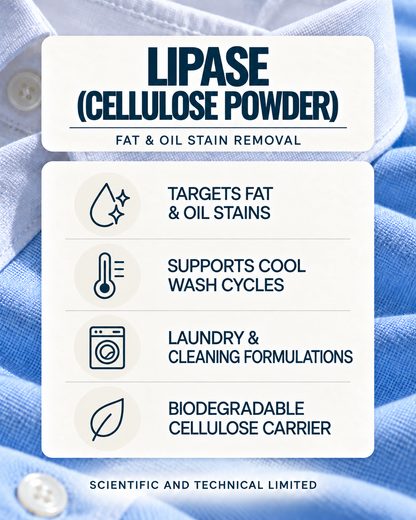 Lipase (cellulose powder)