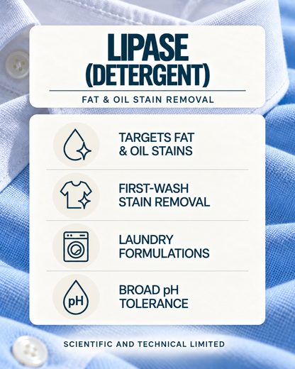 Lipase (eco detergent)