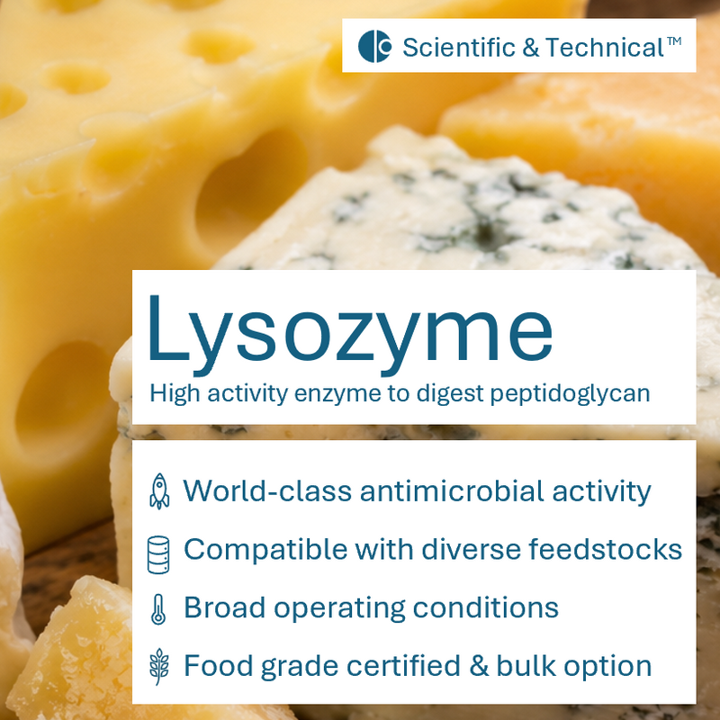 Lysozyme