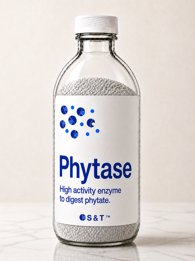 Phytase