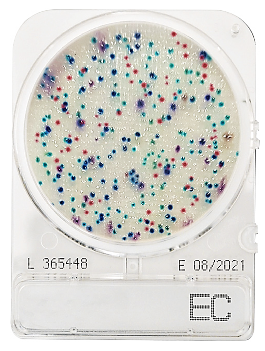 CompactDry EC (fecal contamination)