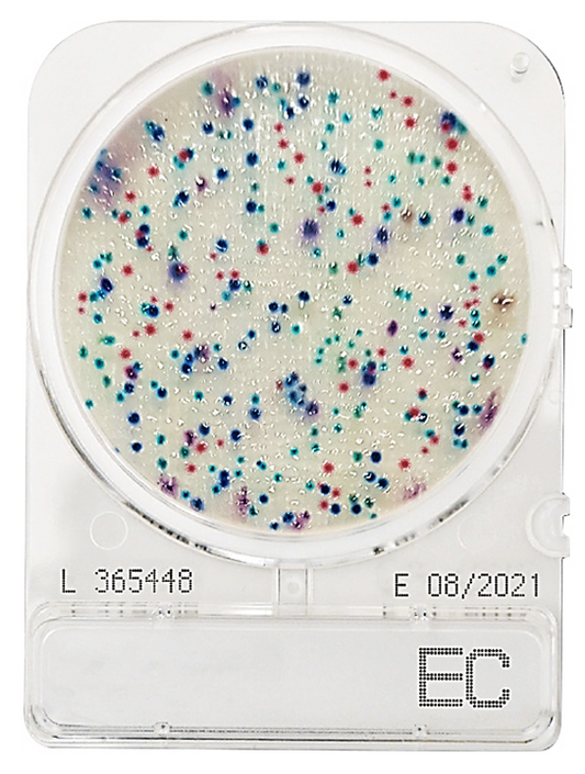CompactDry EC (fecal contamination)