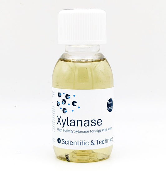 Xylanase