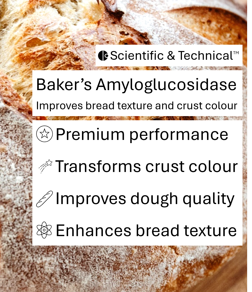 Baker's Amyloglucosidase