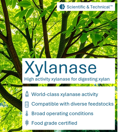 Xylanase