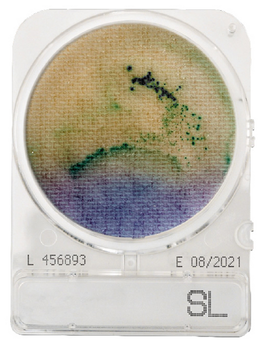CompactDry SL (Salmonella)