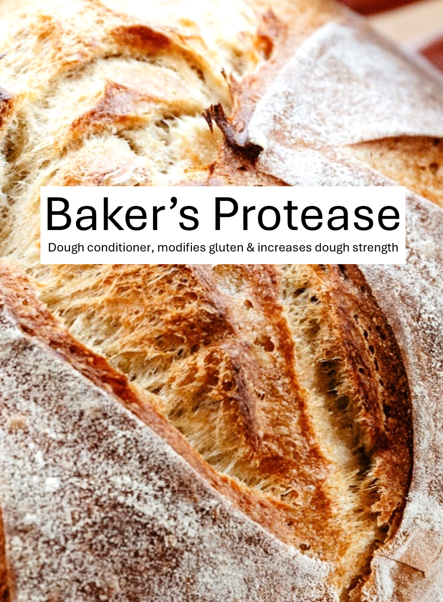Baker's Protease