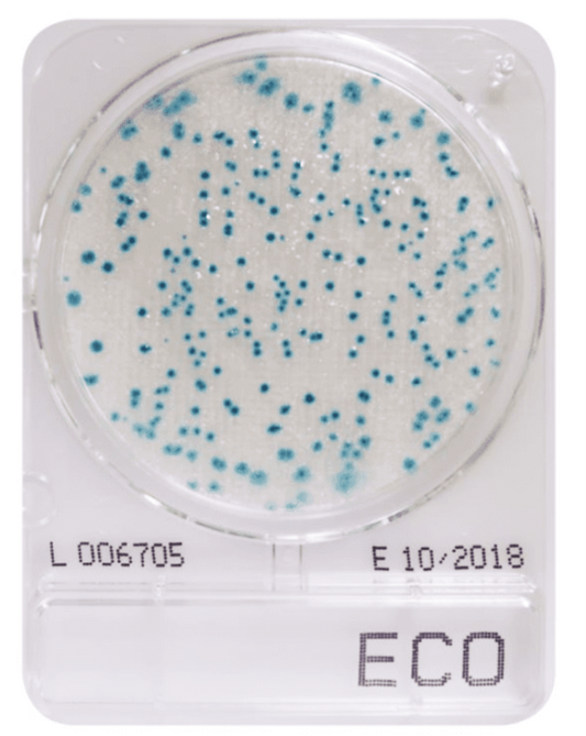 CompactDry ECO (E.coli food & drinks)