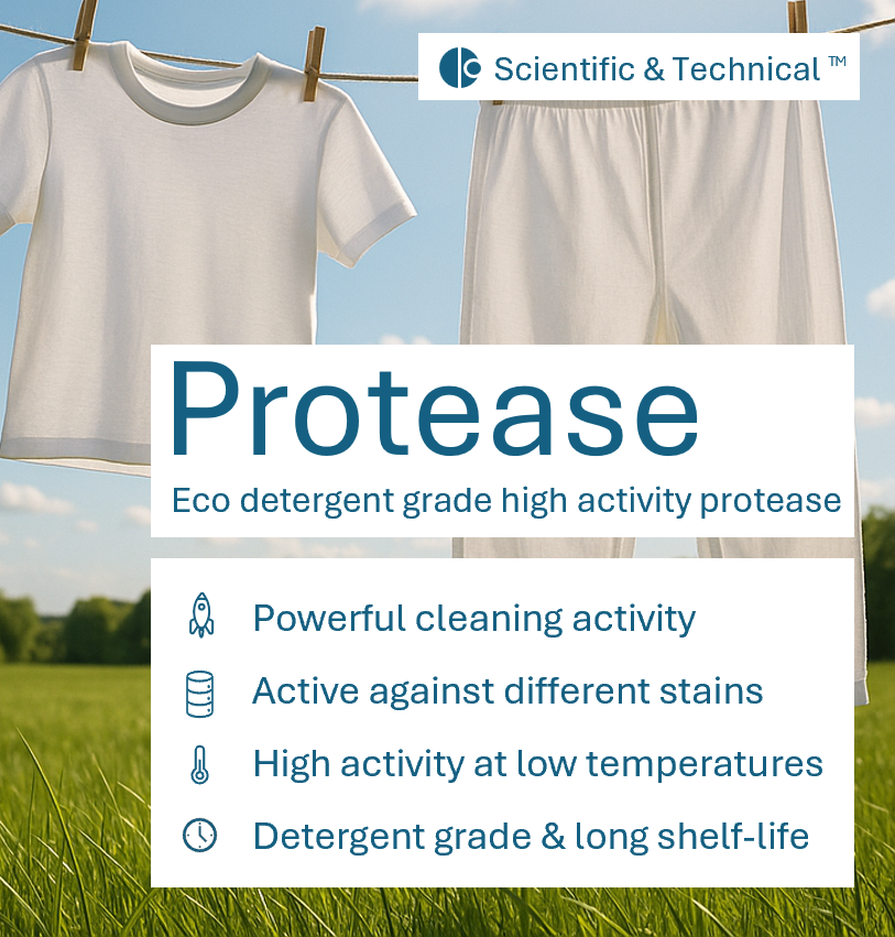 Protease (eco detergent)