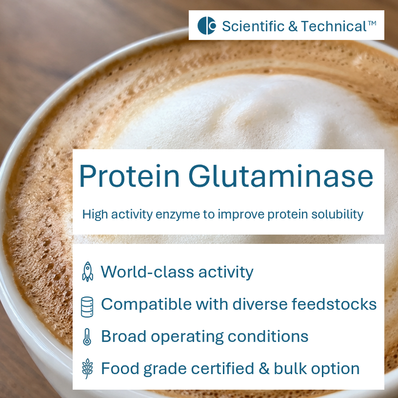 Protein Glutaminase