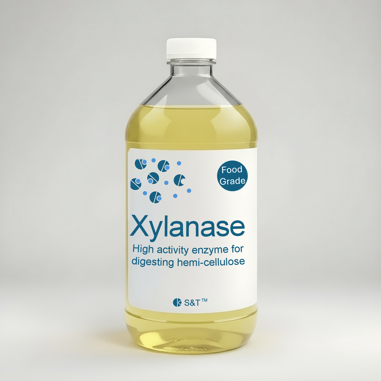 Xylanase