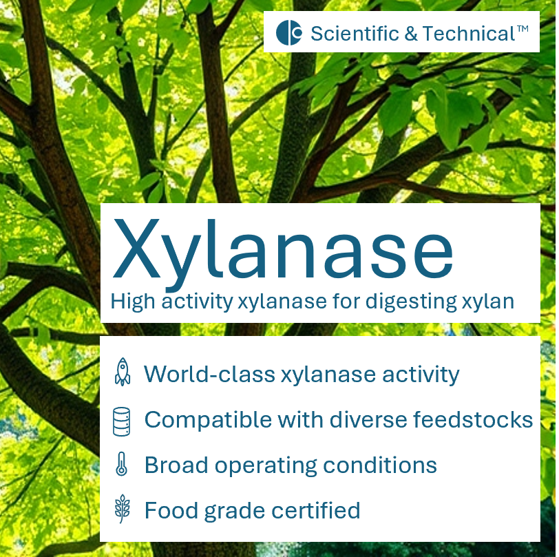 Xylanase