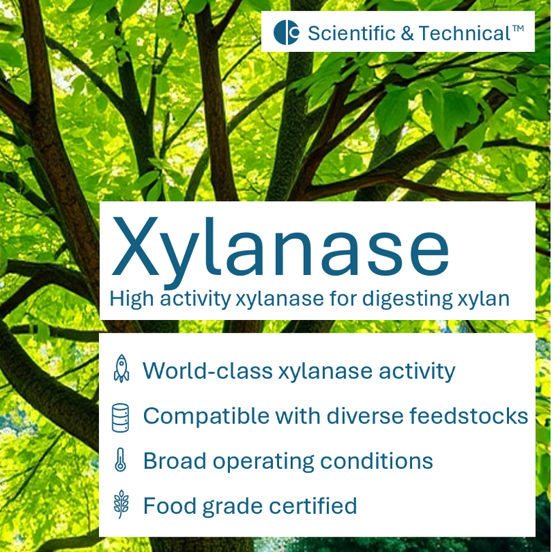 Xylanase