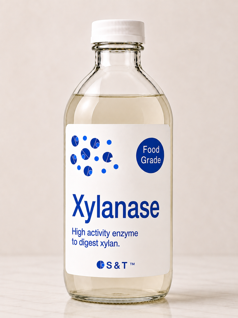 Xylanase