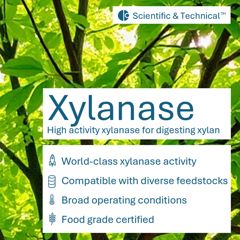 Xylanase (powder)