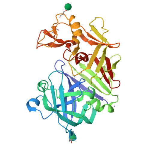 Acid protease: PDB 1IBQ biological assembly, experimental structure (RCSB PDB)