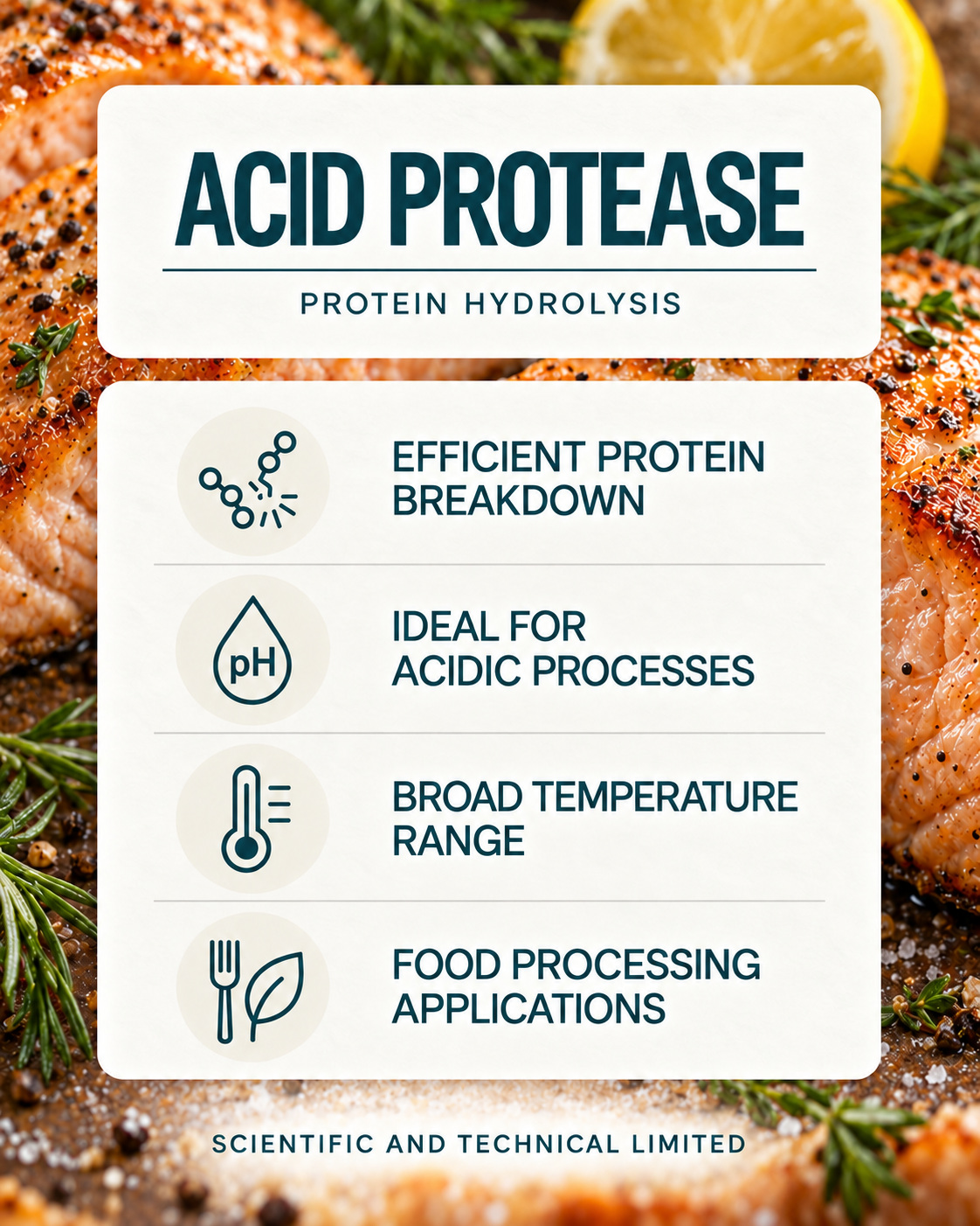 Acid protease enzyme product features