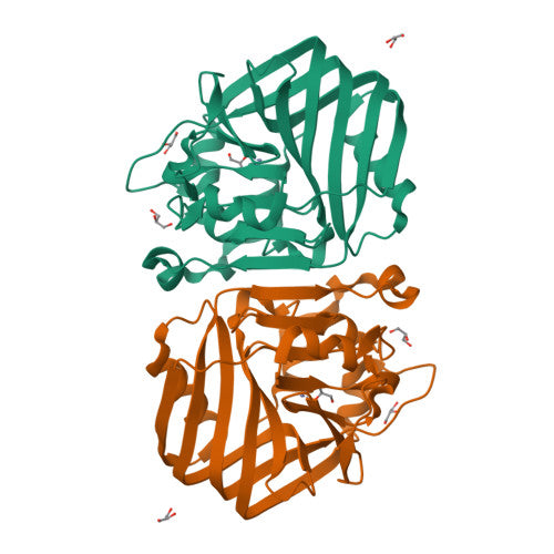 ALDC: PDB 4BT6 biological assembly, experimental structure (RCSB PDB)