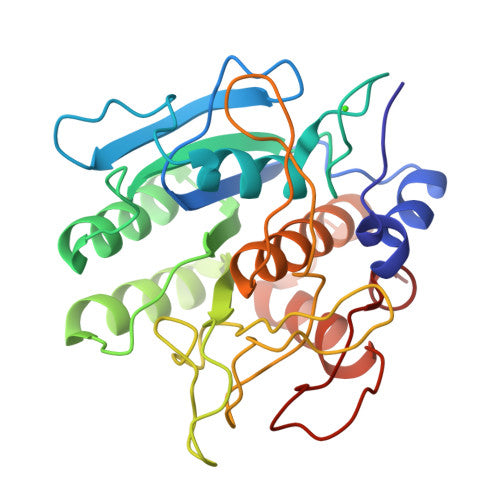 Protease: PDB 1SBC biological assembly, experimental structure (RCSB PDB)