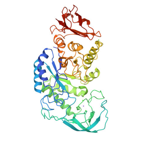 Alpha-amylase: PDB 1BLI biological assembly, experimental structure (RCSB PDB)