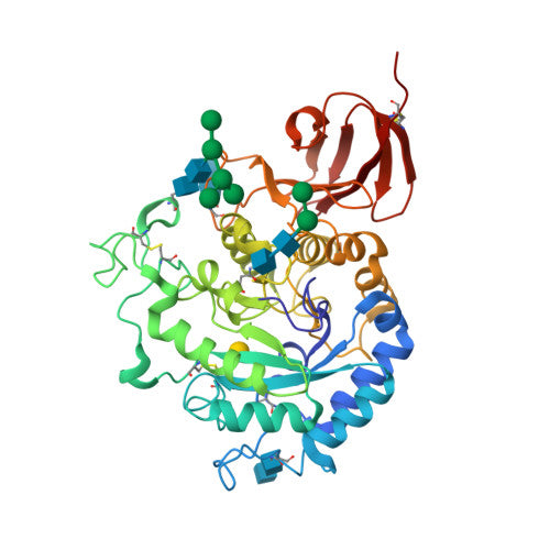 Alpha-galactosidase: PDB 1T0O biological assembly, experimental structure (RCSB PDB)