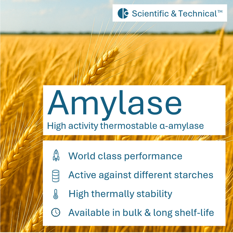 alpha-Amylase (high temp)
