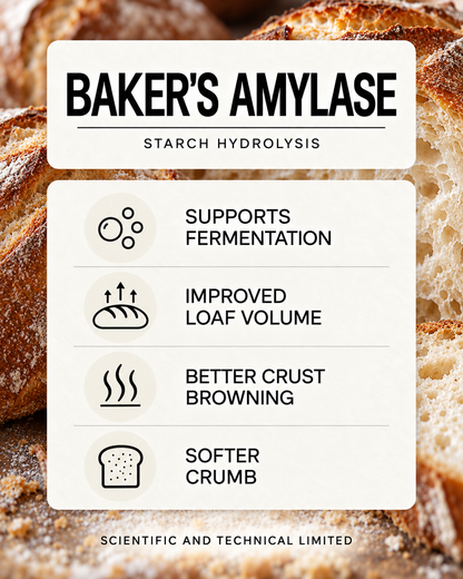 Baker's Amylase