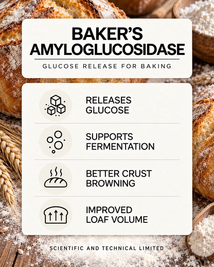 Baker's Amyloglucosidase