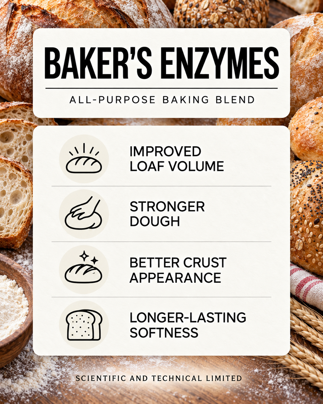 Baker's Enzymes