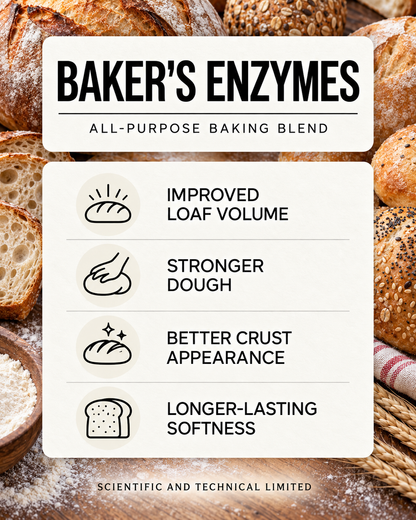 Baker's Enzymes