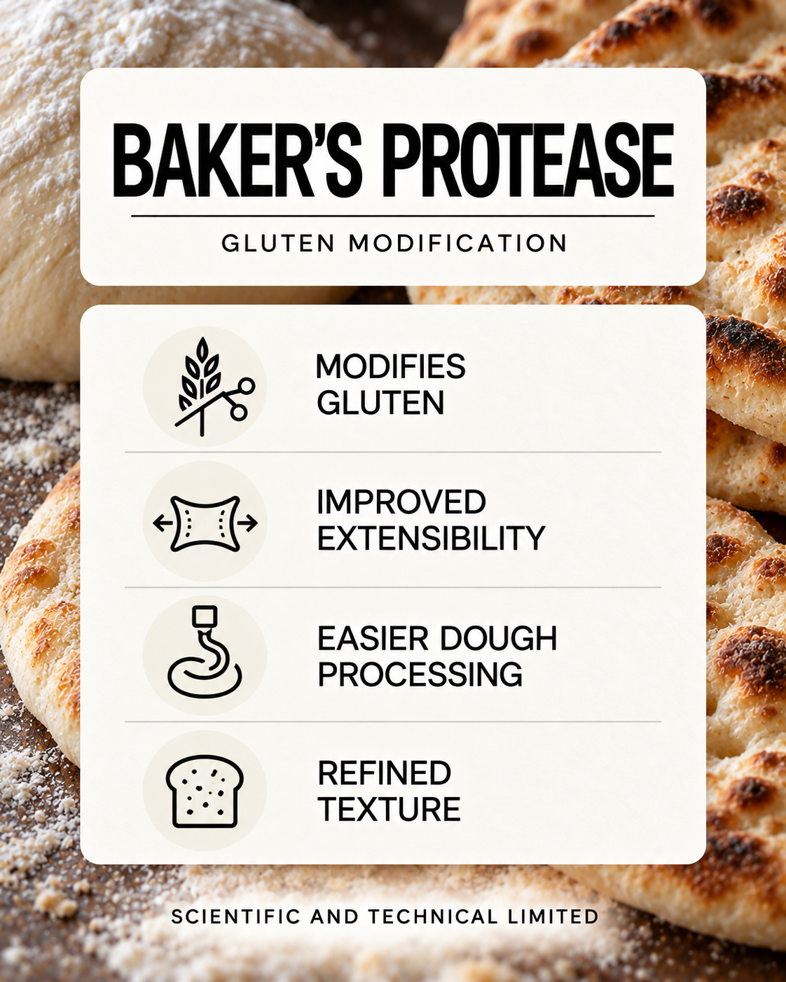 Baker's Protease