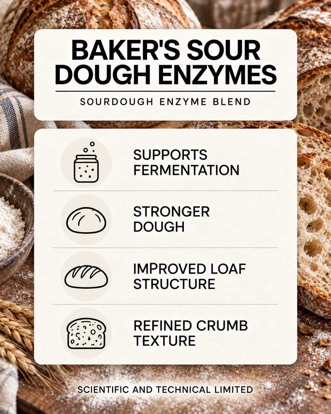 Baker's Sour Dough Enzymes