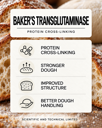 Baker's Transglutaminase