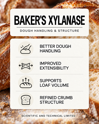 Baker's Xylanase