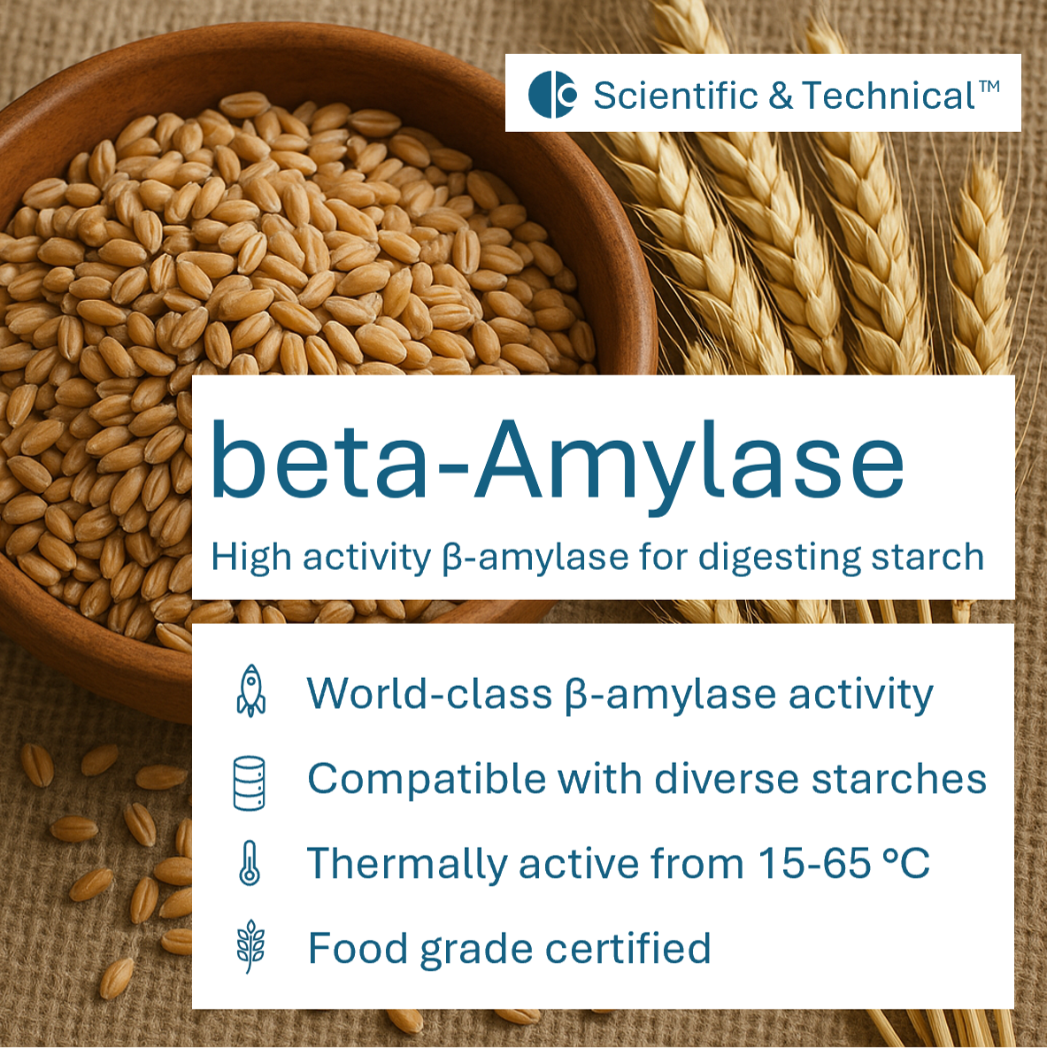 beta-Amylase