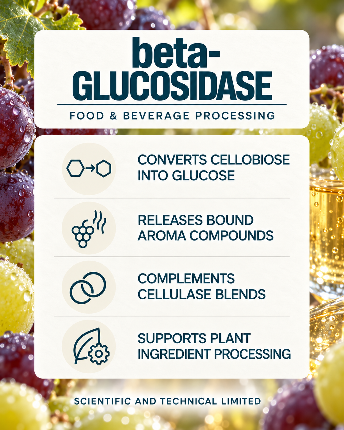 beta-Glucosidase