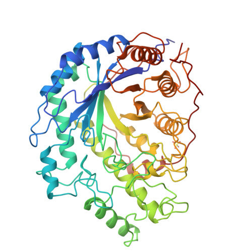 Beta-amylase: PDB 1BYA biological assembly, experimental structure (RCSB PDB)