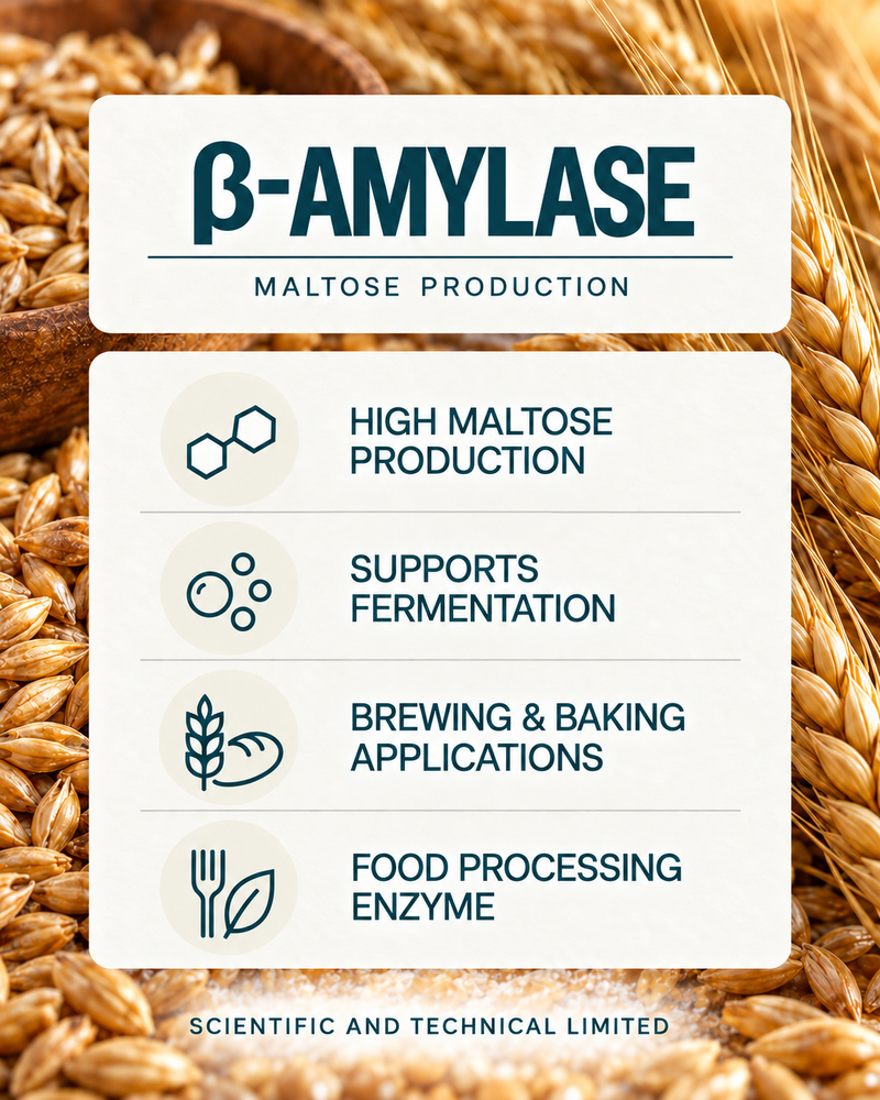 beta-Amylase