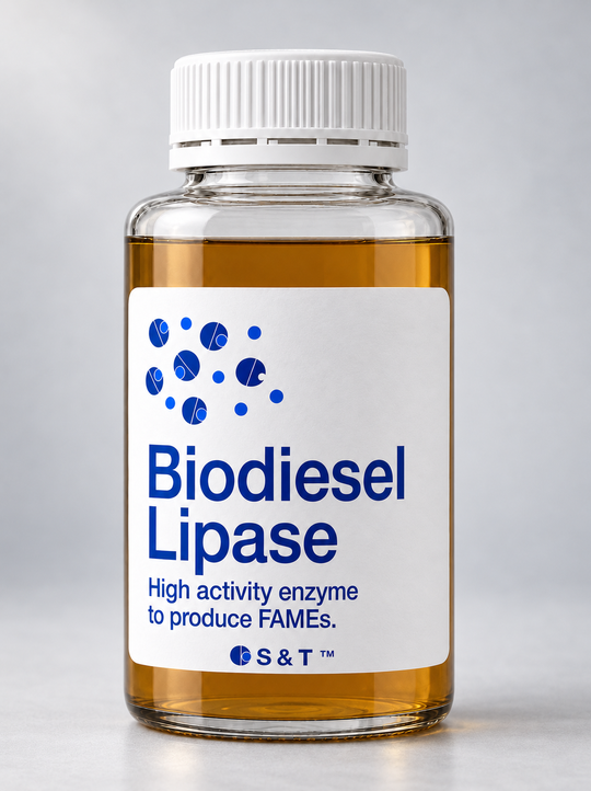 Biodiesel Lipase