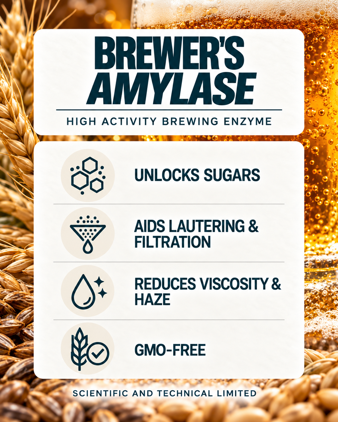 Brewer’s Amylase product benefits with dark teal typography and barley imagery