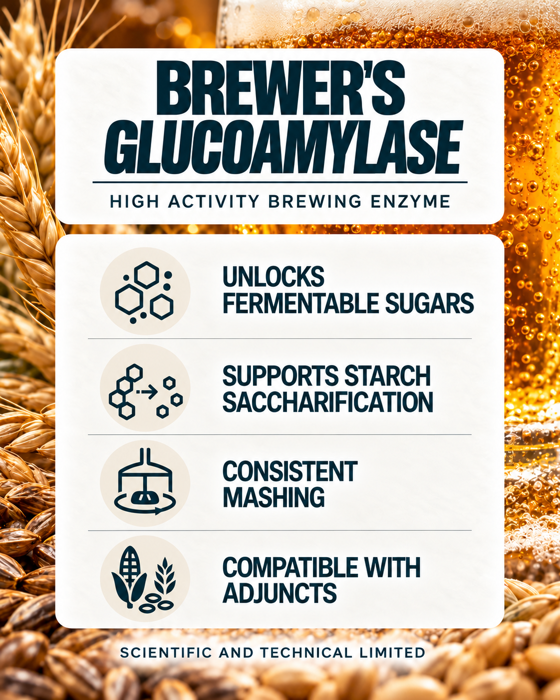 BREWER’S GLUCOAMYLASE benefits with barley and beer background