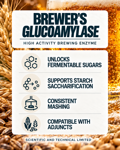 BREWER’S GLUCOAMYLASE benefits with barley and beer background