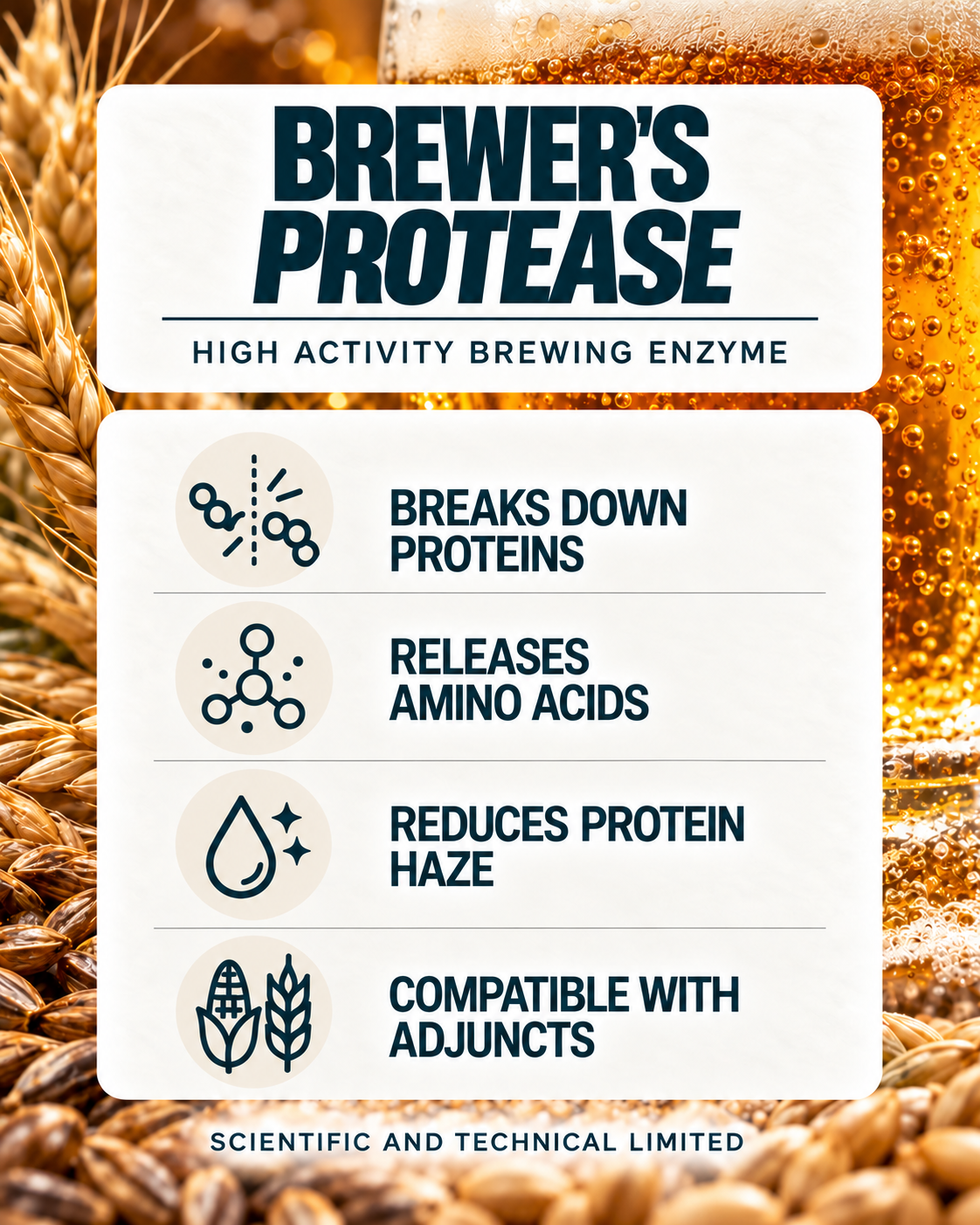 BREWER’S PROTEASE benefits with barley and beer background