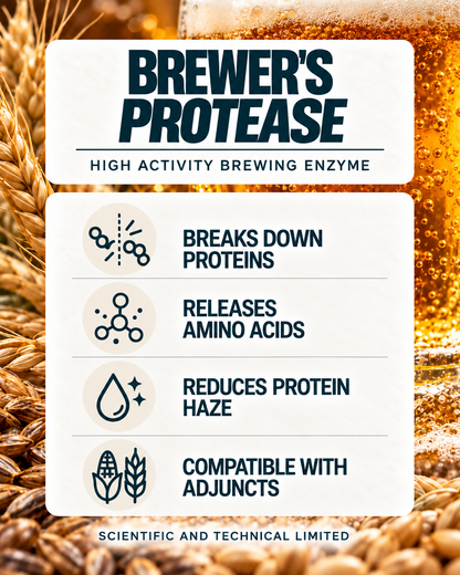 BREWER’S PROTEASE benefits with barley and beer background